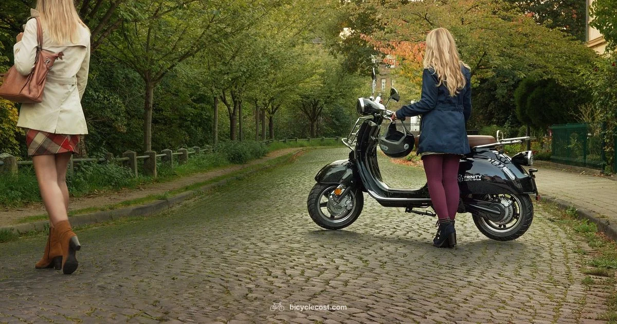 Electric Bike Motor Electric Bike Motor - BicycleCost