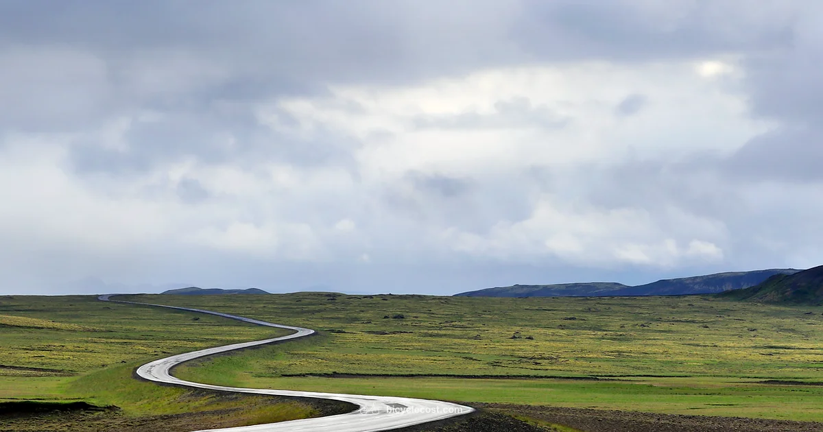 Trek Road Bike Guide - BicycleCost