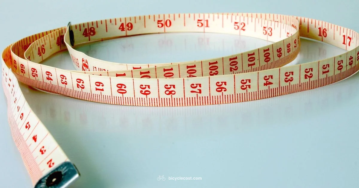 Bicycle Sizing Guide - BicycleCost