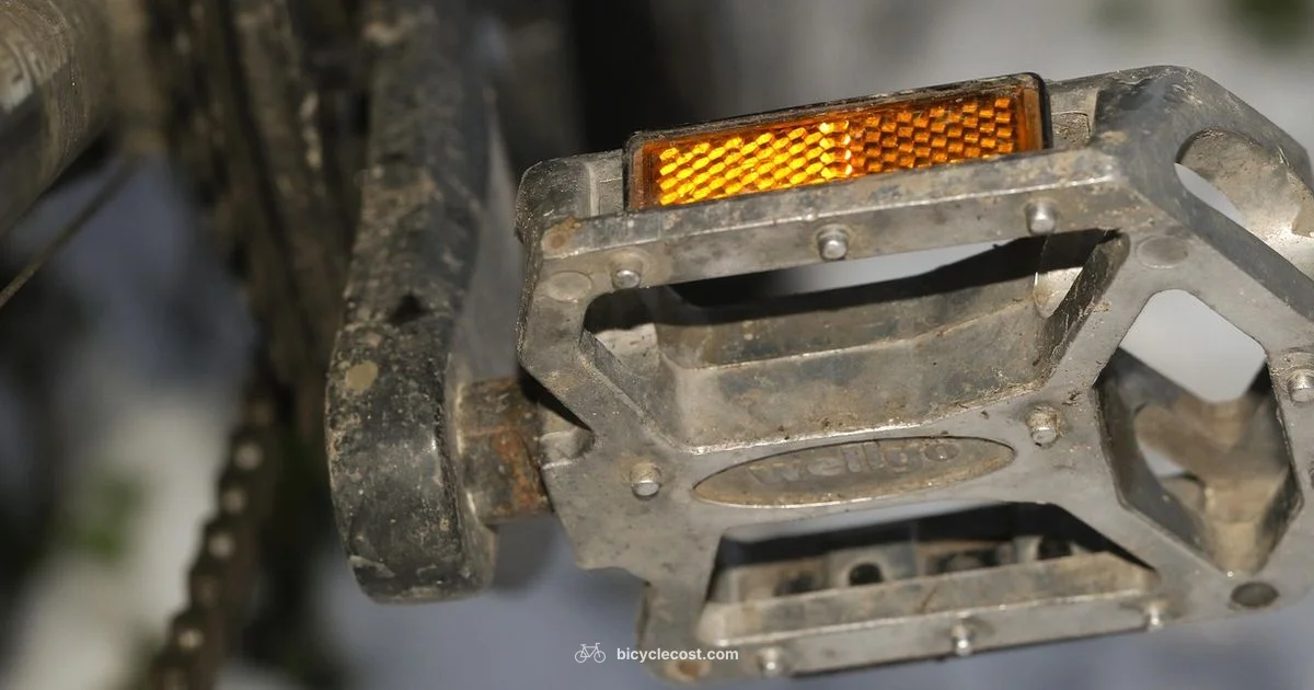 Road Bicycle Shoes - BicycleCost