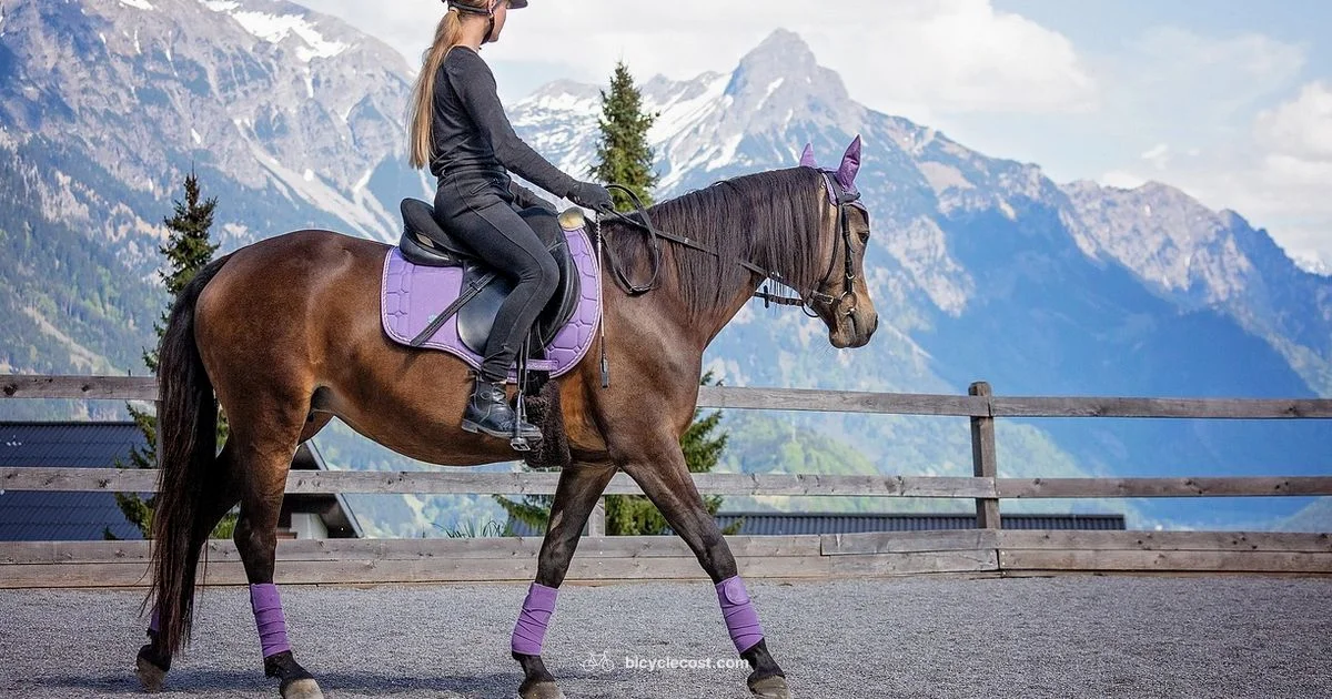 First Ride Guide First Ride Guide - BicycleCost