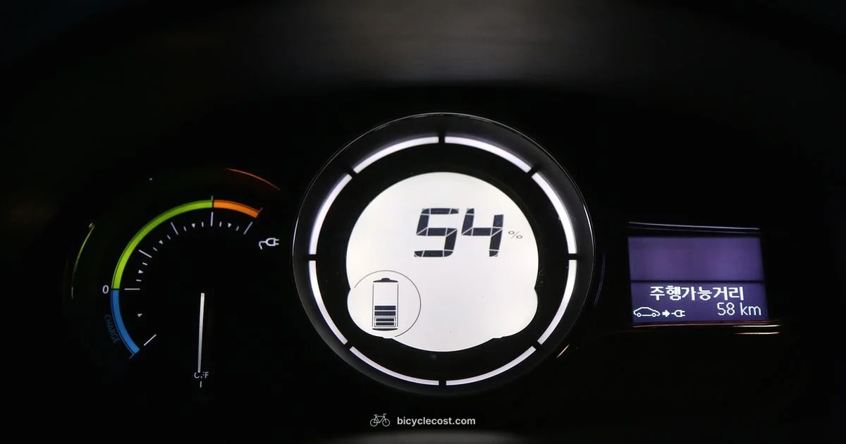 Battery Death Guide - BicycleCost