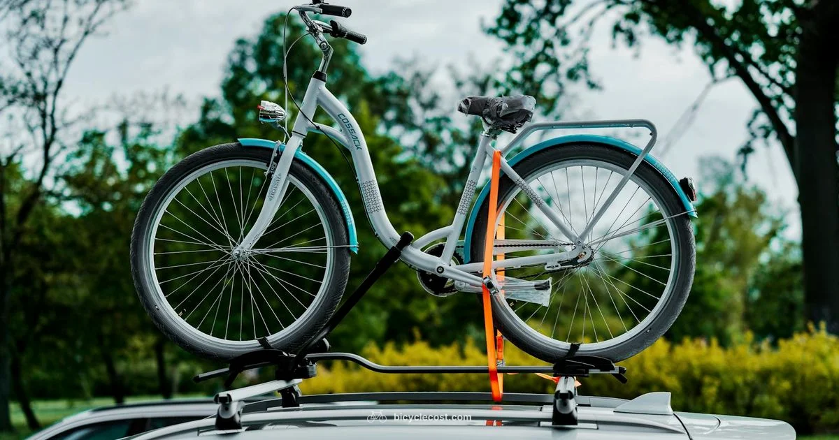 Safe Bike Carrier Setup Safe Bike Carrier Setup - BicycleCost