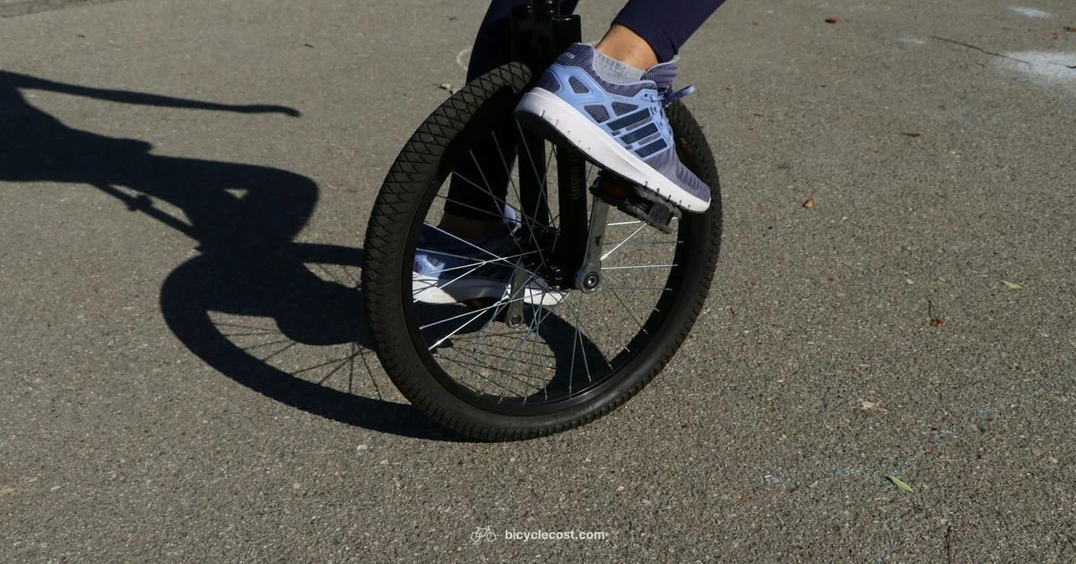 One Wheel Basics - BicycleCost