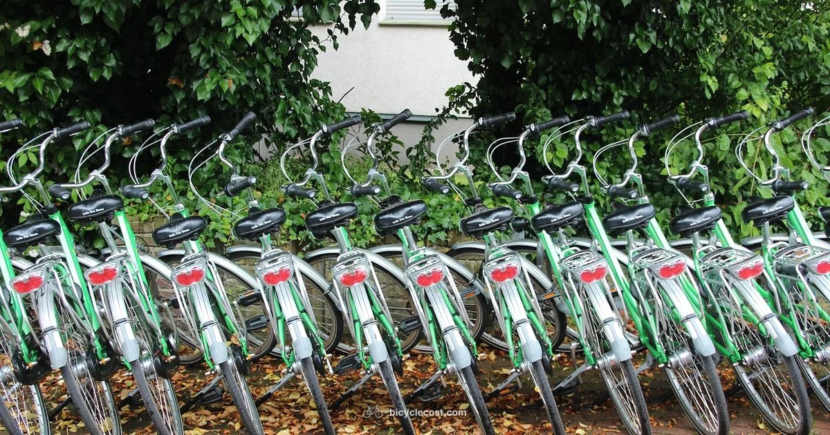 Hilton Head Bike Rentals Hilton Head Bike Rentals - BicycleCost