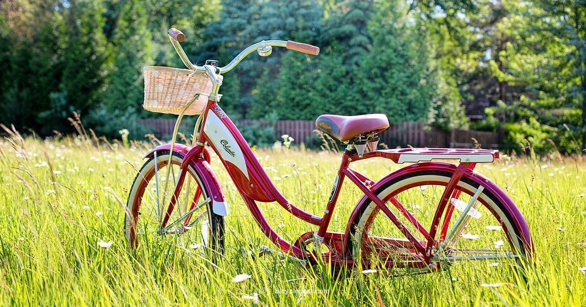 Dhurandhar Bike Reveal - BicycleCost