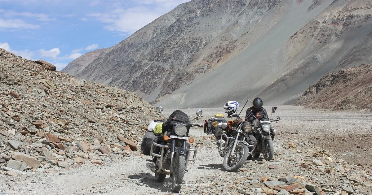 Marin Bicycles Overview - BicycleCost