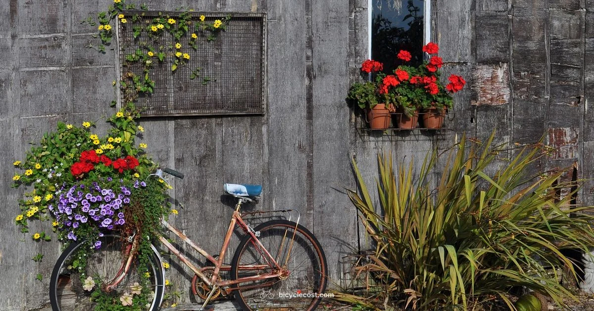 Dawes Bikes Guide - BicycleCost