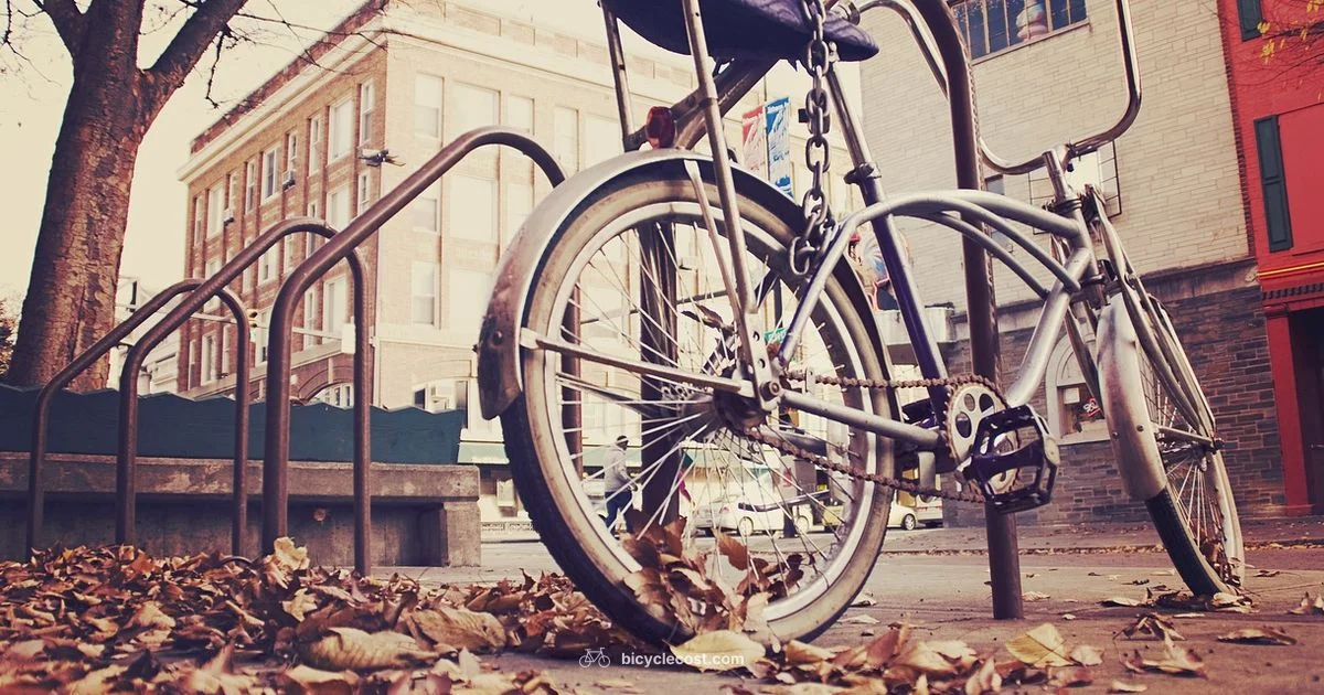 Theft Prevention Guide - BicycleCost
