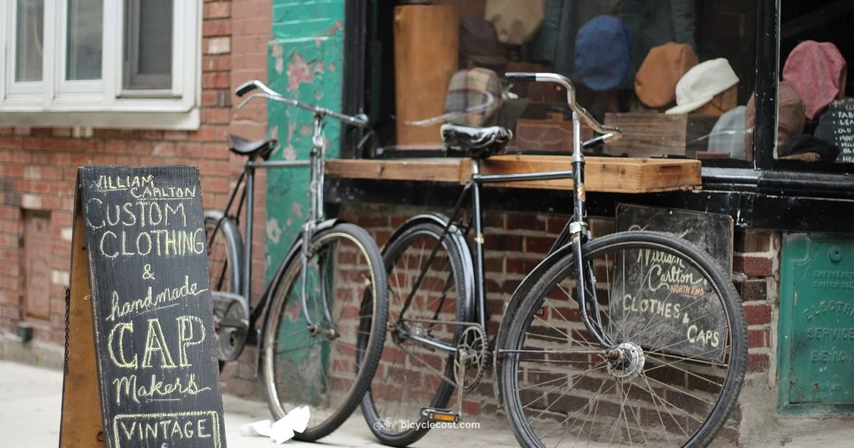 Sturdy Kickstand - BicycleCost