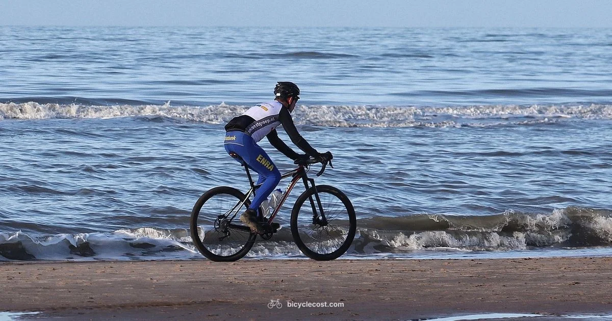 Bicycle Shoes Essentials - BicycleCost