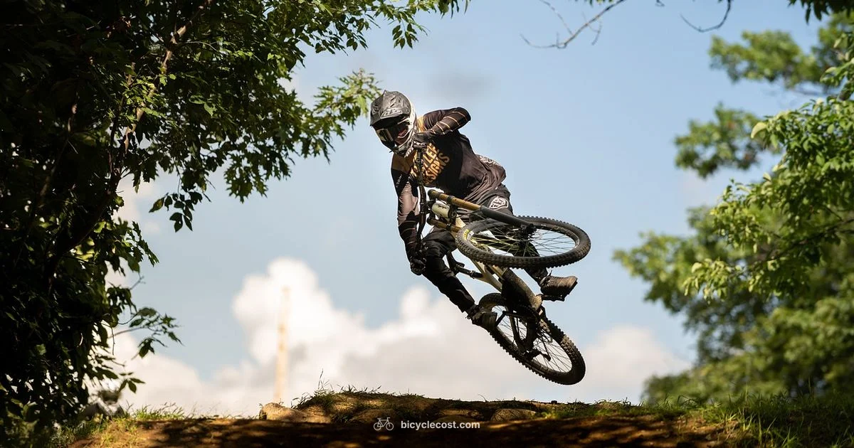 Suspension Essentials - BicycleCost