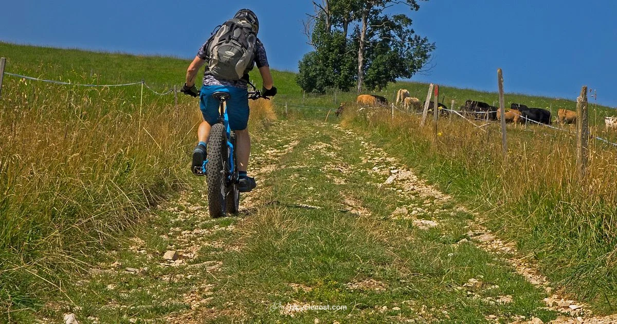 Bike Fit Guide - BicycleCost