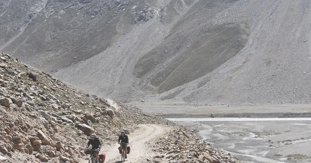 Why canyon bikes - BicycleCost