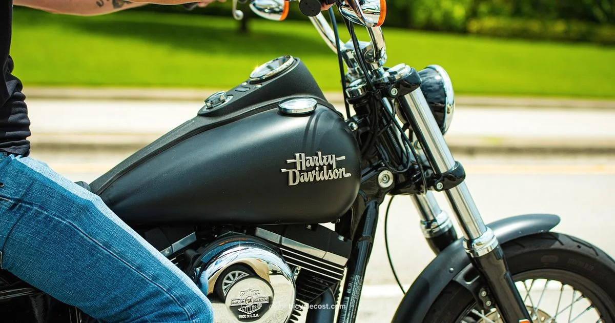 Rugged Trail E Bike - BicycleCost