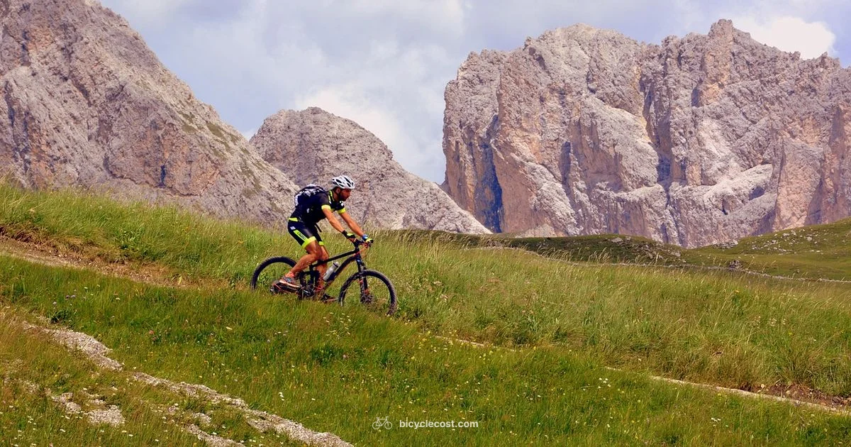 Find Your Size - BicycleCost