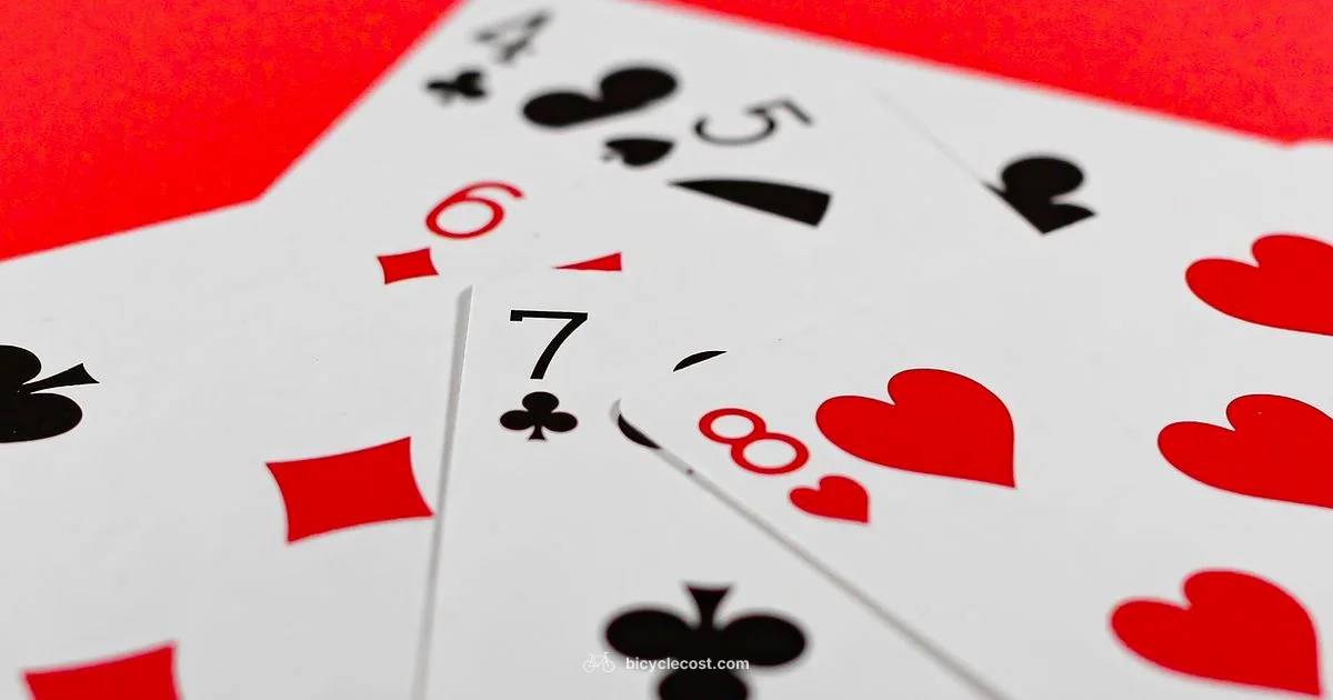 Bicycle Cards on the Table - BicycleCost