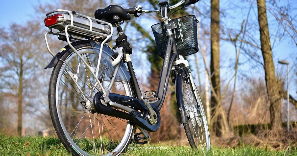 Electric Bike Overview - BicycleCost