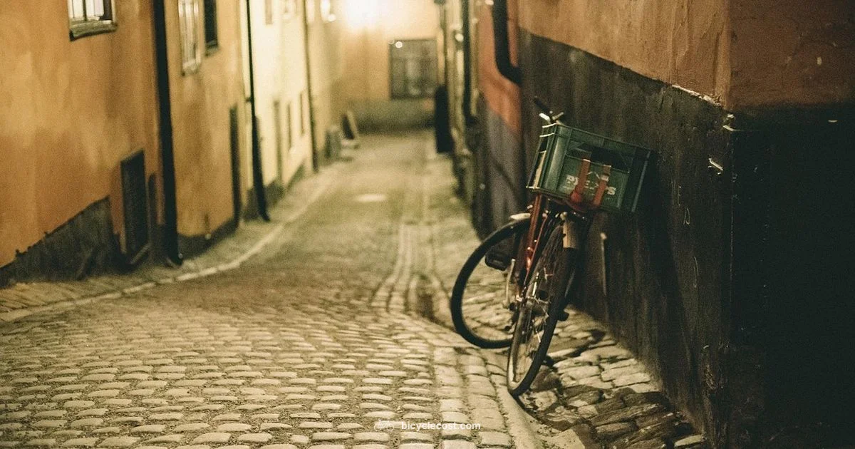 Bicycle to Ebike Kit - BicycleCost