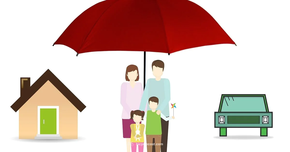 Bicycle Insurance Guide - BicycleCost