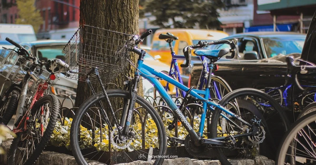 Outdoor Bicycle Storage - BicycleCost