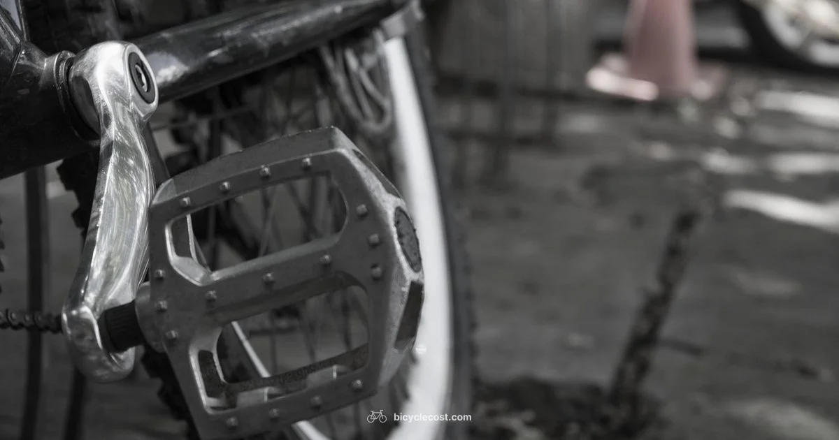 Flat Tire Prevention - BicycleCost