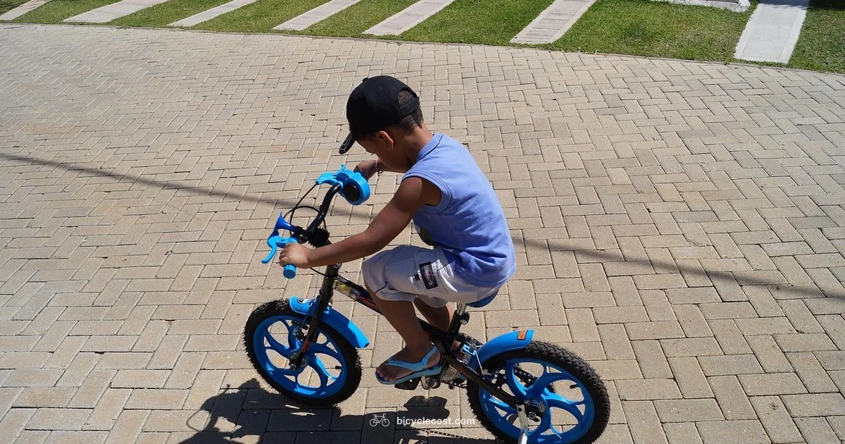 20-Inch Sizing Guide - BicycleCost