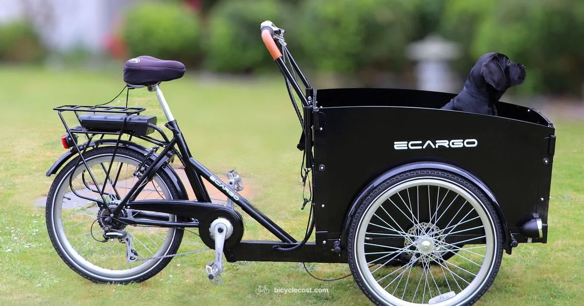 Cargo E Bike Guide Cargo E Bike Guide - BicycleCost