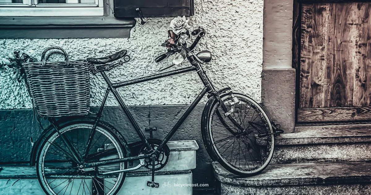 Trek Hybrids - BicycleCost