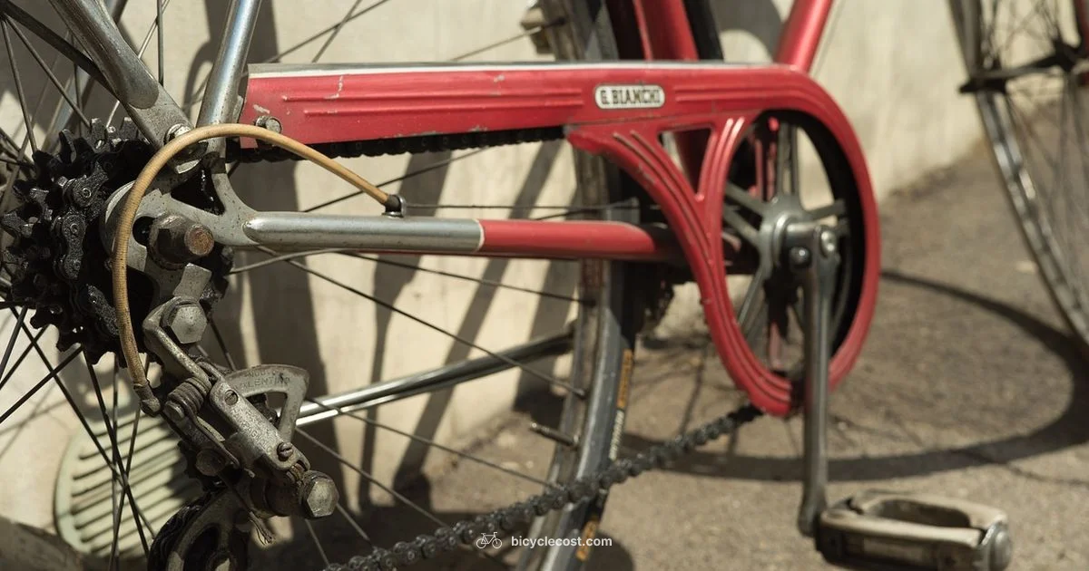 Pedal Removal Guide - BicycleCost