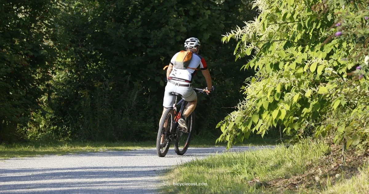 Bike Computer Guide - BicycleCost