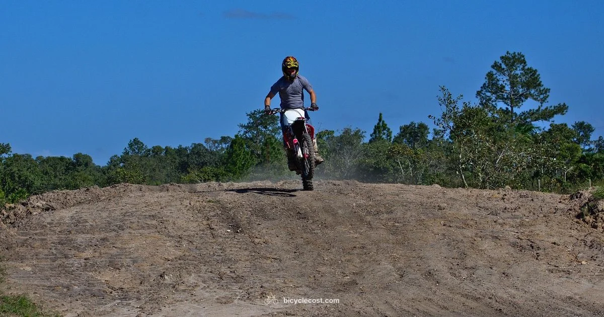 Pegged BMX Setup - BicycleCost