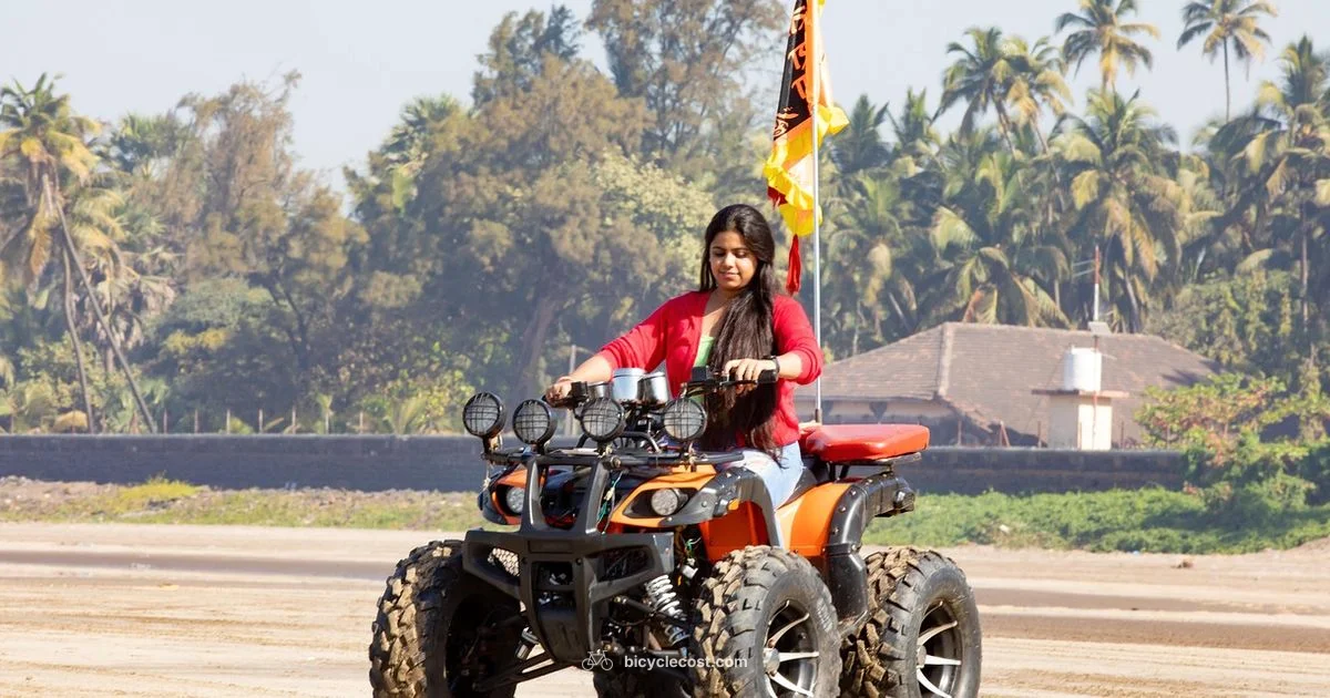 All Road Versatility - BicycleCost