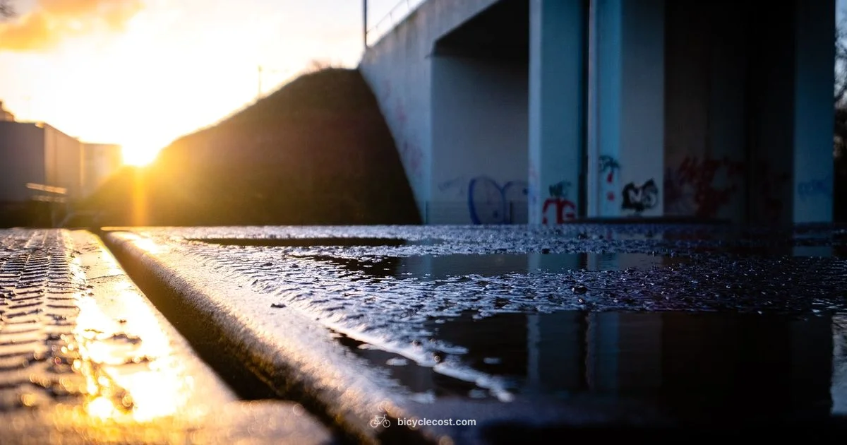 Health Through Cycling - BicycleCost