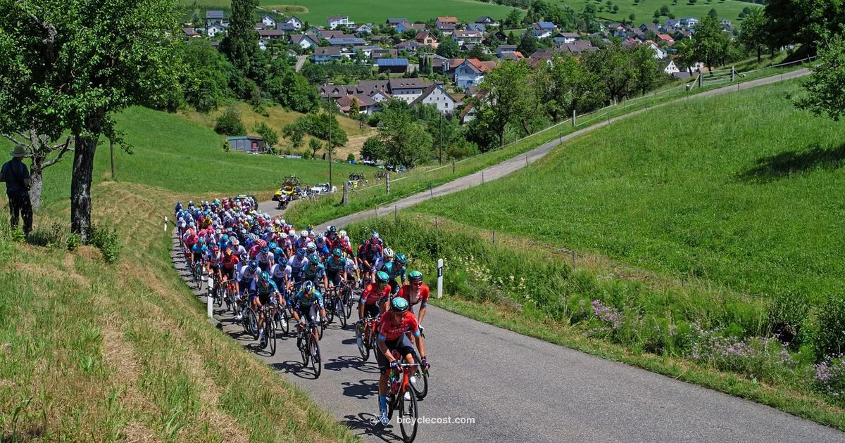 Prostate Health Cycling - BicycleCost