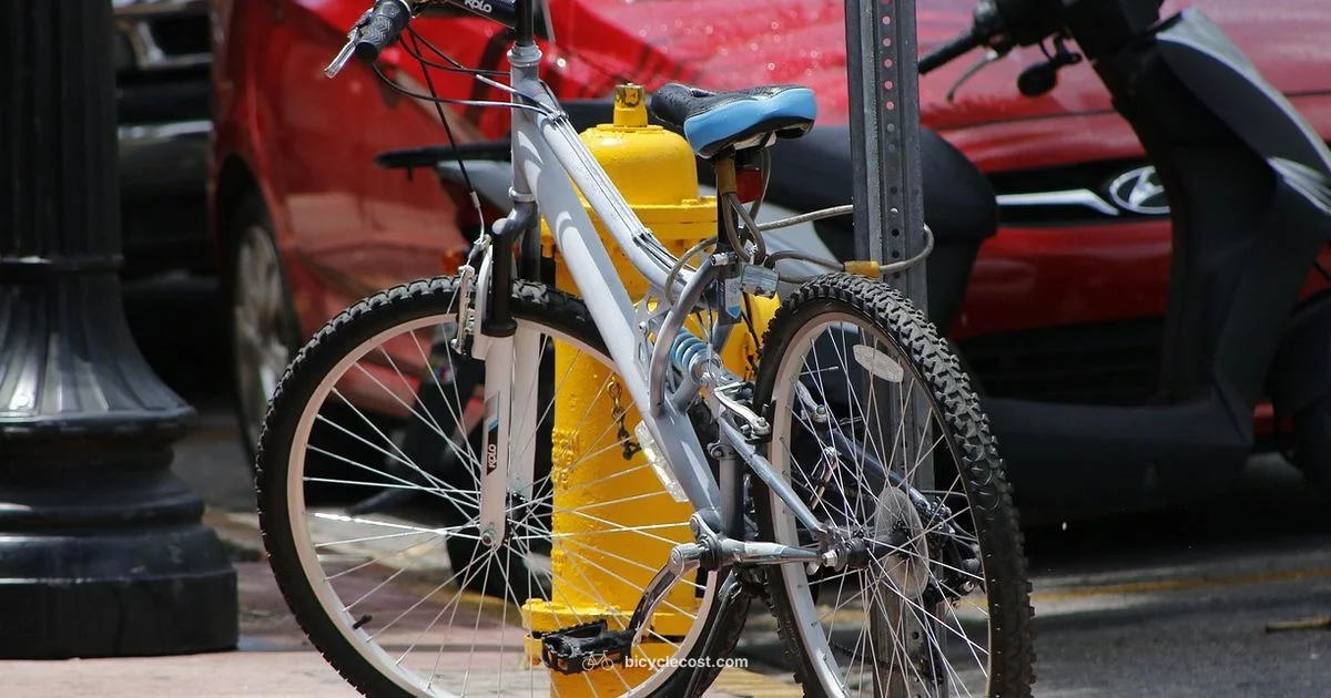 Yellow Bike Guide - BicycleCost