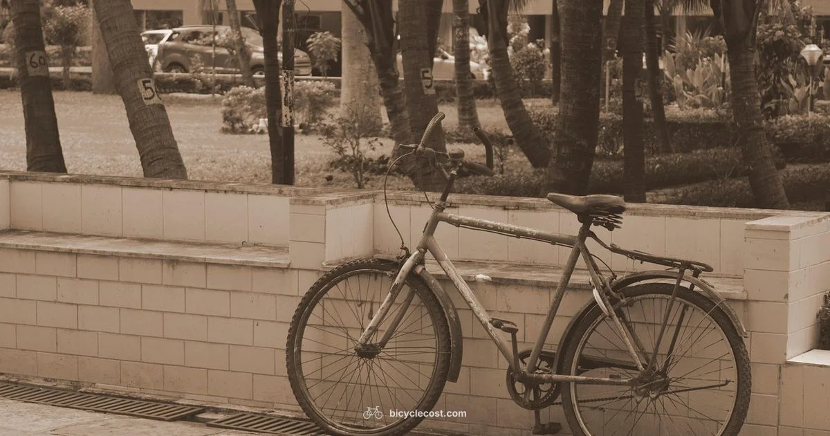 24in Bike Sizing - BicycleCost