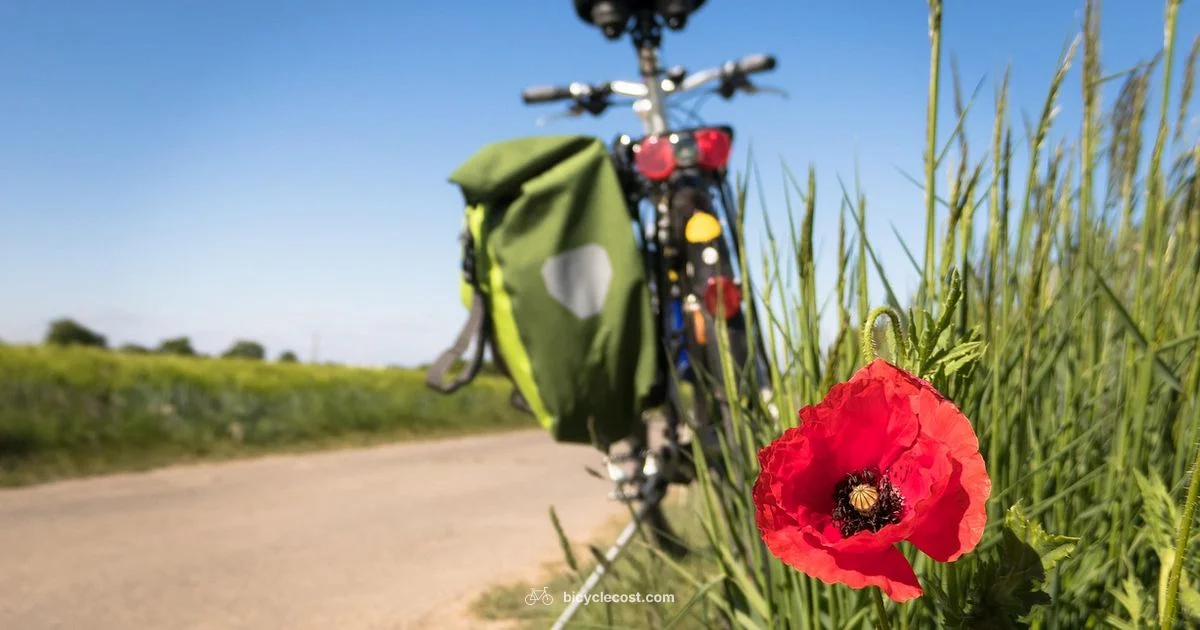 Bike on Bus Rules - BicycleCost