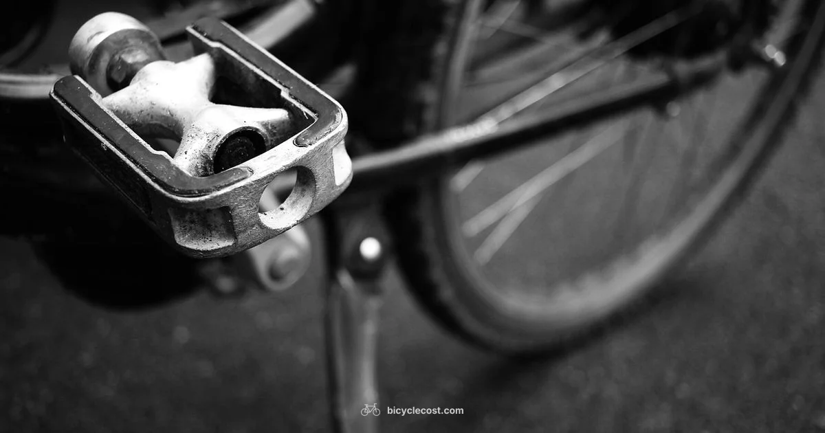 Shimano Pedals Guide - BicycleCost