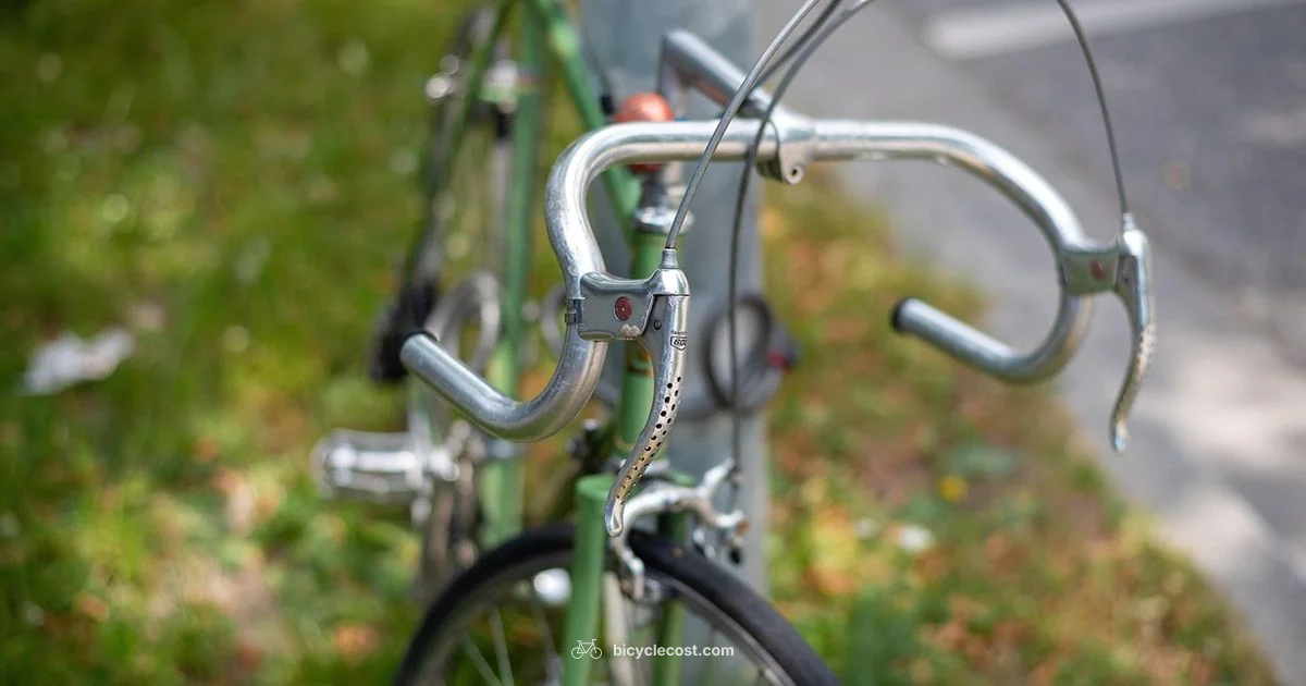 Bike Fit Guide - BicycleCost