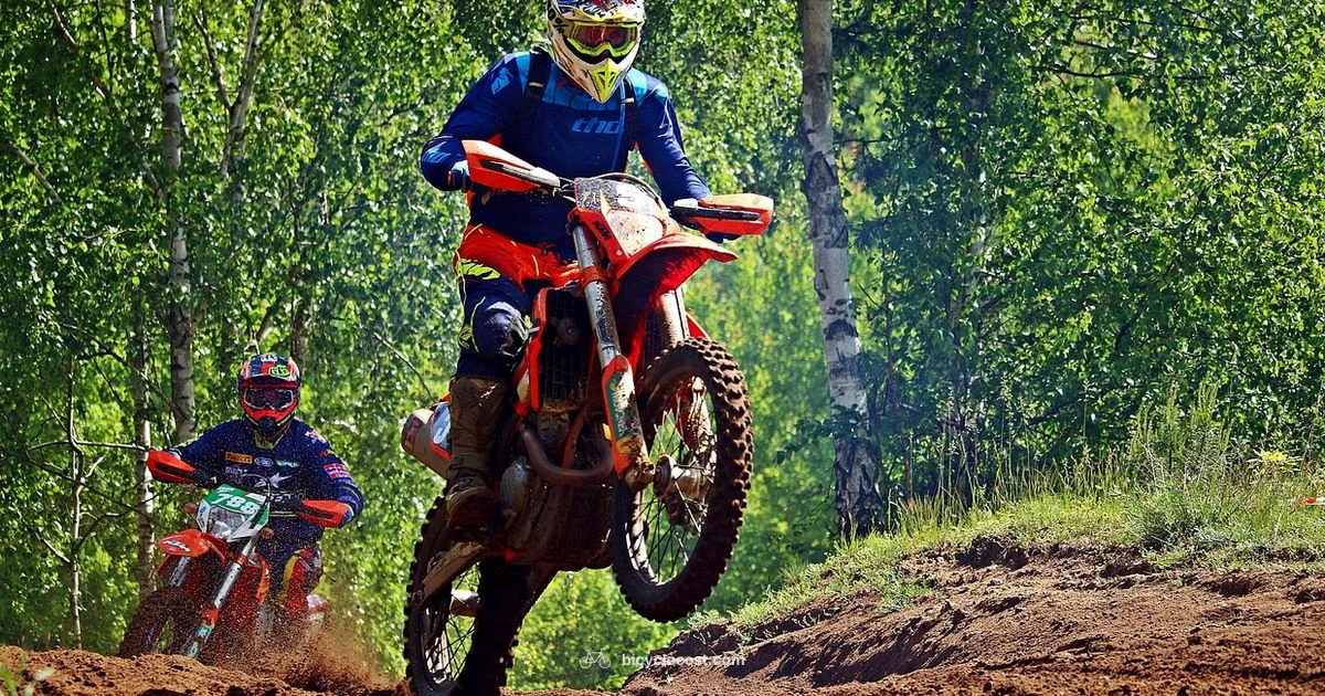 Enduro Bike Guide - BicycleCost