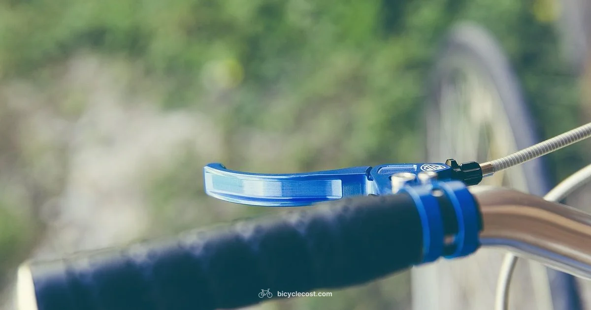 Brake Safety Guide - BicycleCost