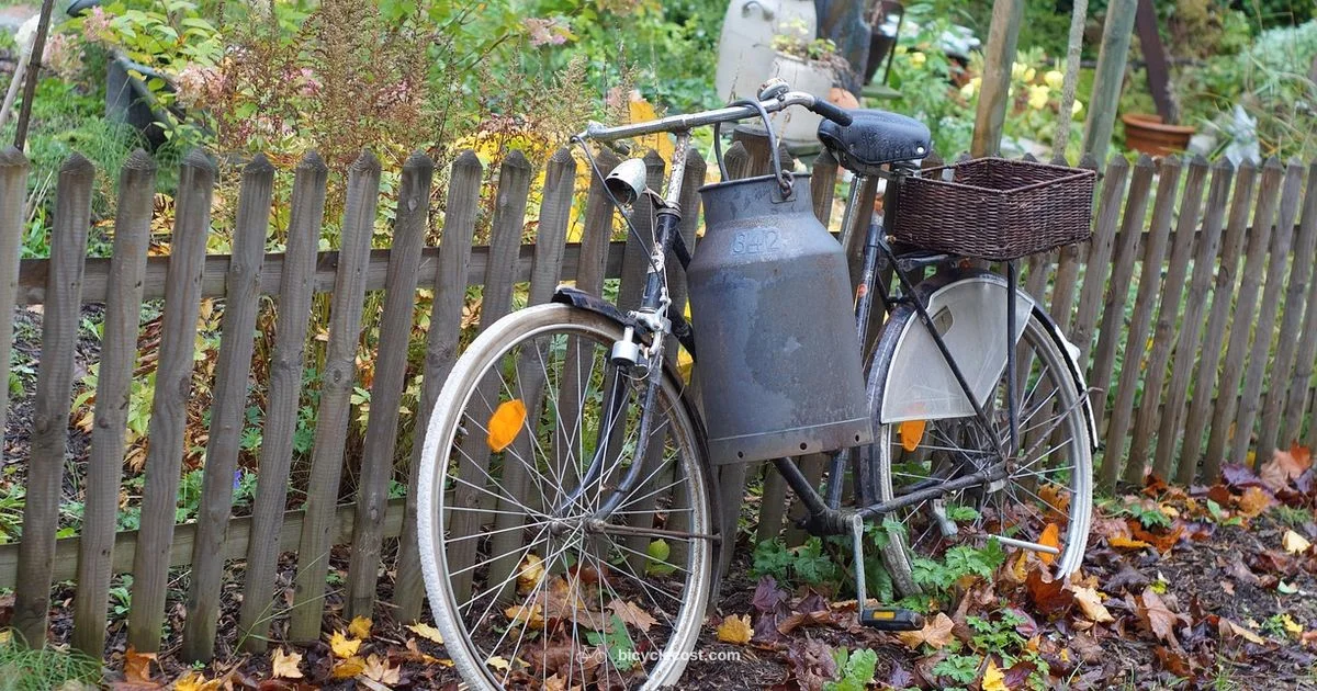 Travel-Worthy Bike Setup - BicycleCost