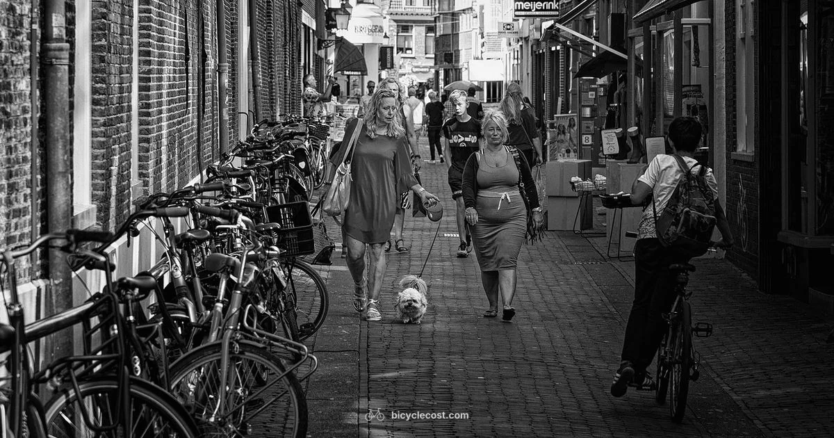 Bicycle Ride Guide Bicycle Ride Guide - BicycleCost