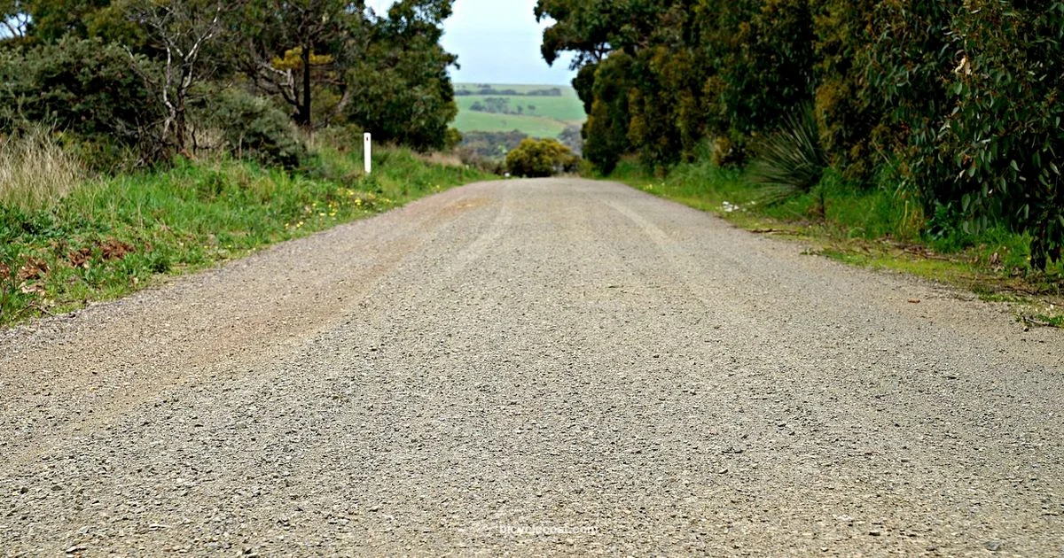 Gravel Road Essentials - BicycleCost