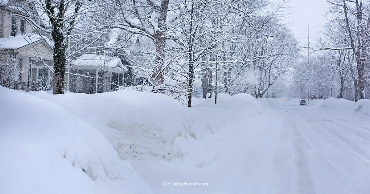 Winter Gear Essentials - BicycleCost