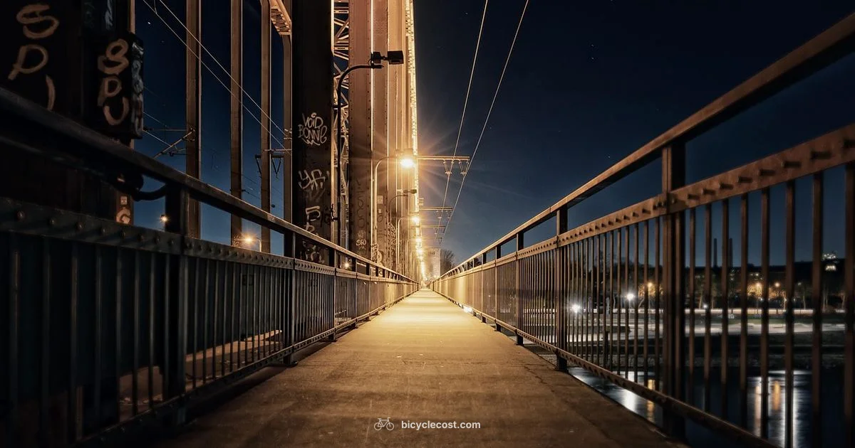 Ride for Uber: A Bike Guide - BicycleCost