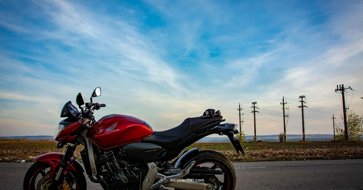 Comfortable Recumbent Ride - BicycleCost