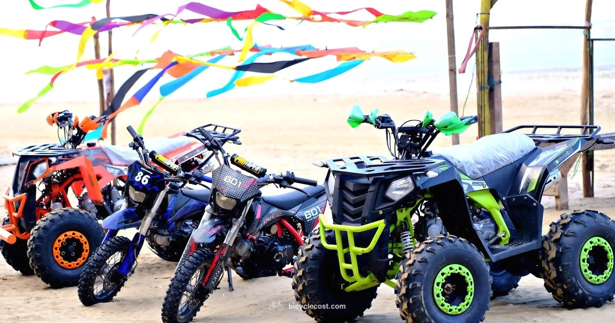 All Terrain E Bike Guide - BicycleCost