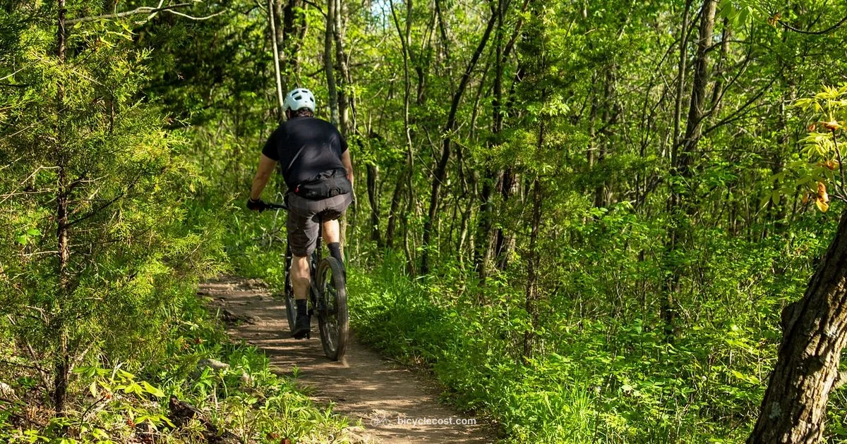 Mountain Bike Helmet Guide - BicycleCost